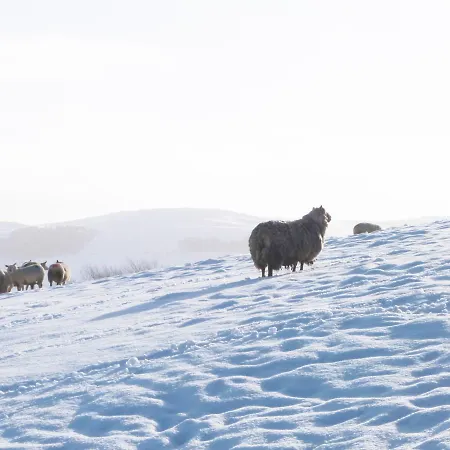 Orchard Nyaraló Lothersdale